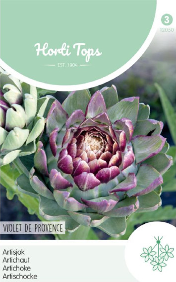 Artisjok Violet De Provence (Cynara scolymus) 30 zaden HT